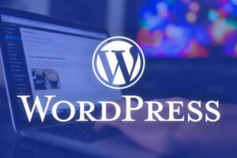 WordPress 5.5 Güncellemesi Çıktı!